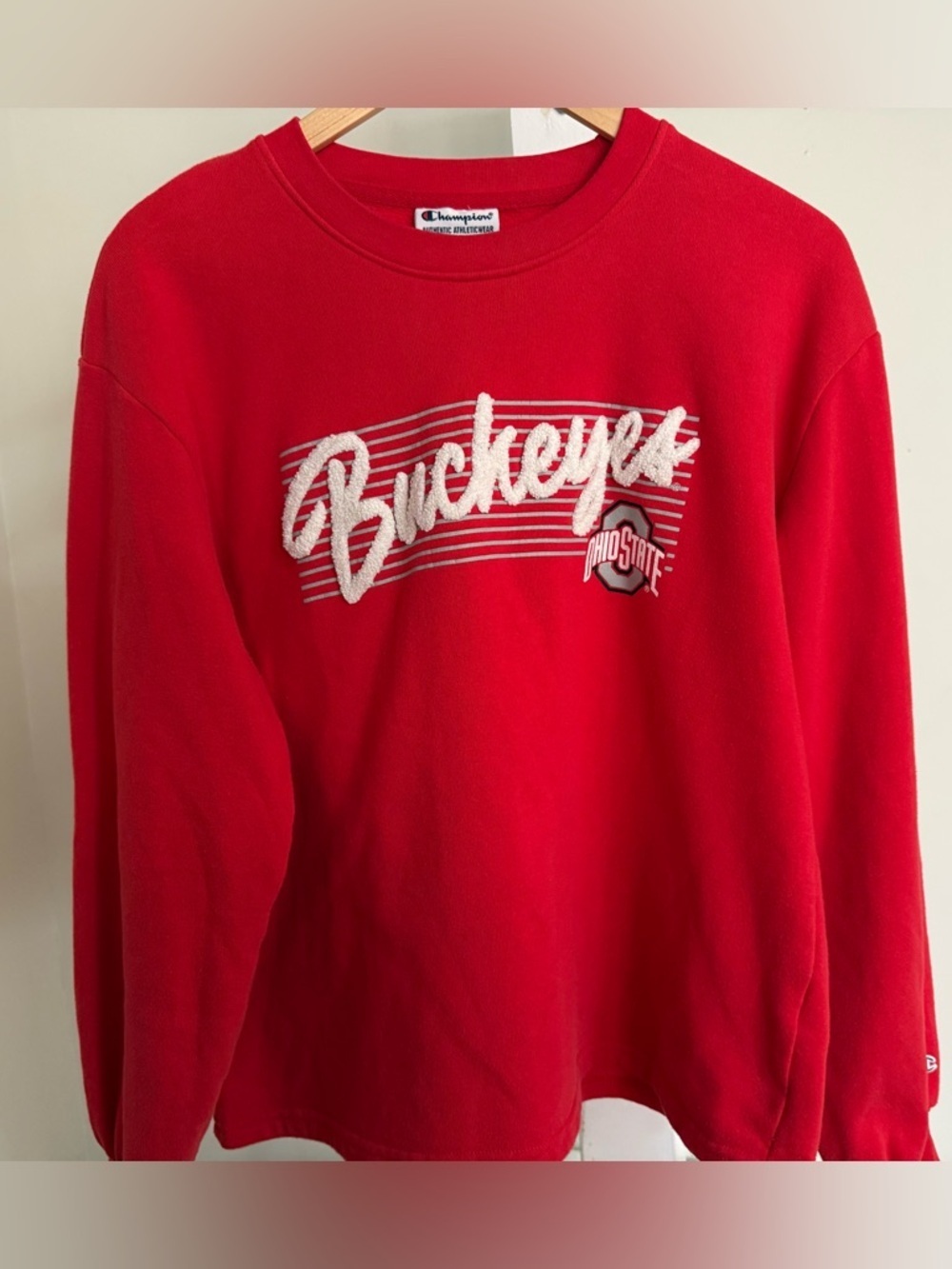 Champion Ohio State Buckeyes Sweatshirt